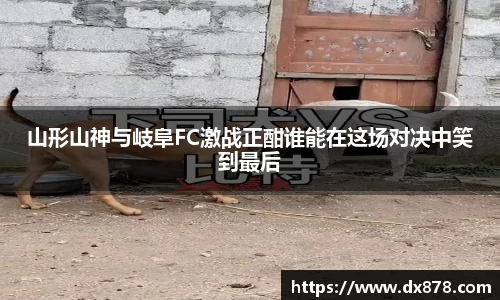 山形山神与岐阜FC激战正酣谁能在这场对决中笑到最后